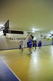 Basket C321037
